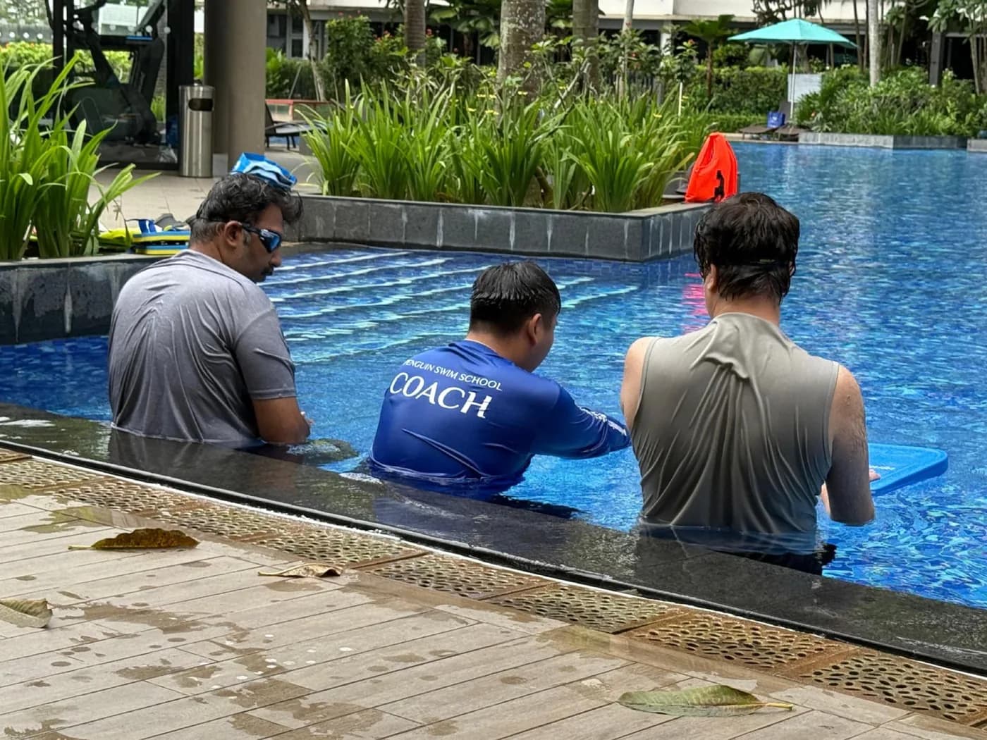 Penguin Swim School coach leading an adult in-water coaching session